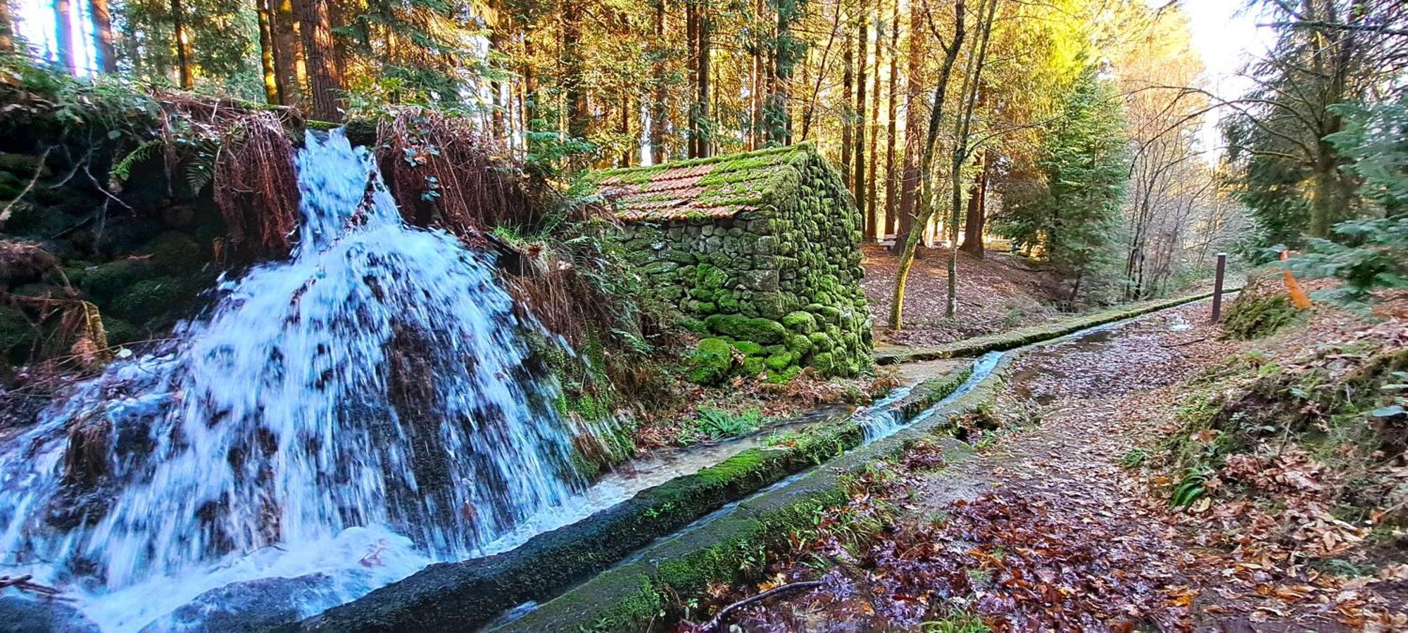 Matos Casas De Campo Cabeceiras de Basto Buitenkant foto